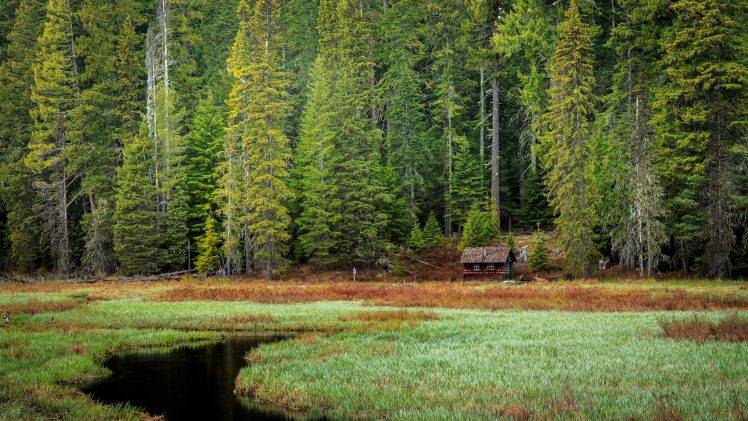 landscape, Oregon, Mount Hood HD Wallpaper Desktop Background