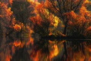nature, Landscape, Fall, Colorful, Lake, Water, Reflection, Forest, Amber, Yellow, Leaves, Trees