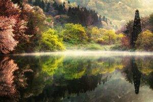 nature, Landscape, Spring, Lake, Morning, Forest, Mist, Trees, Water, Reflection, Mountain, South Korea