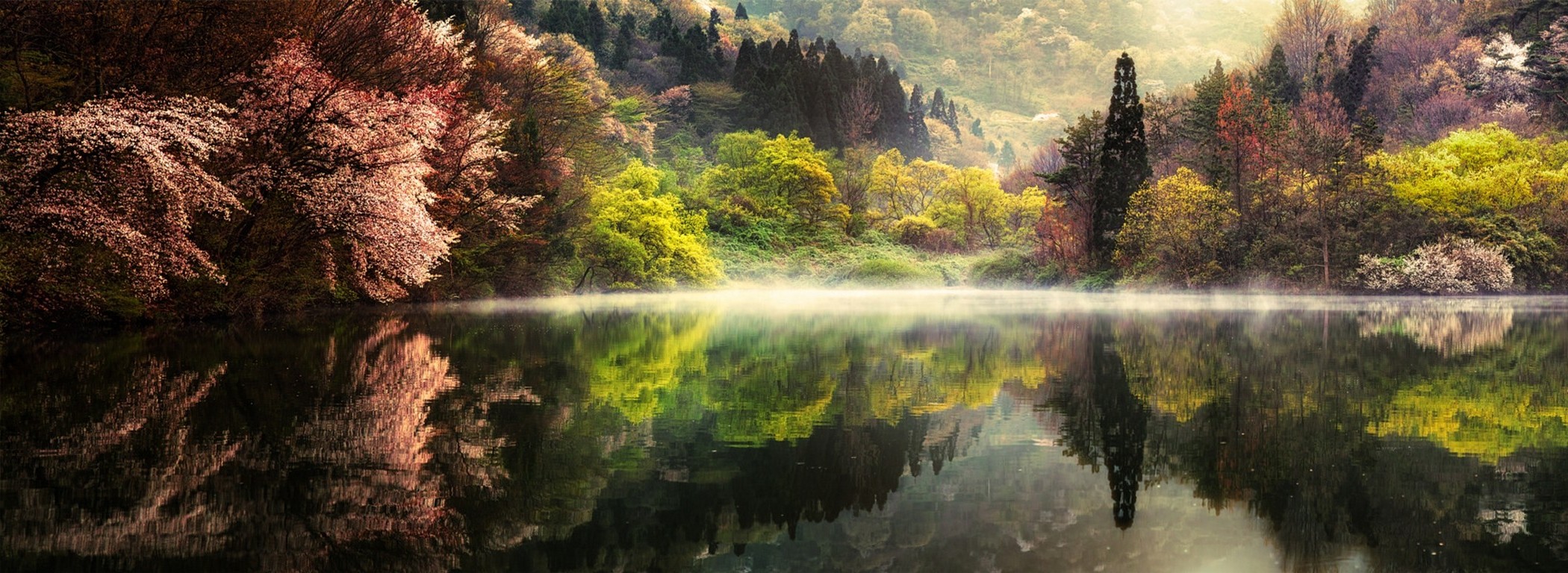 nature, Landscape, Spring, Lake, Morning, Forest, Mist, Trees, Water, Reflection, Mountain, South Korea Wallpaper