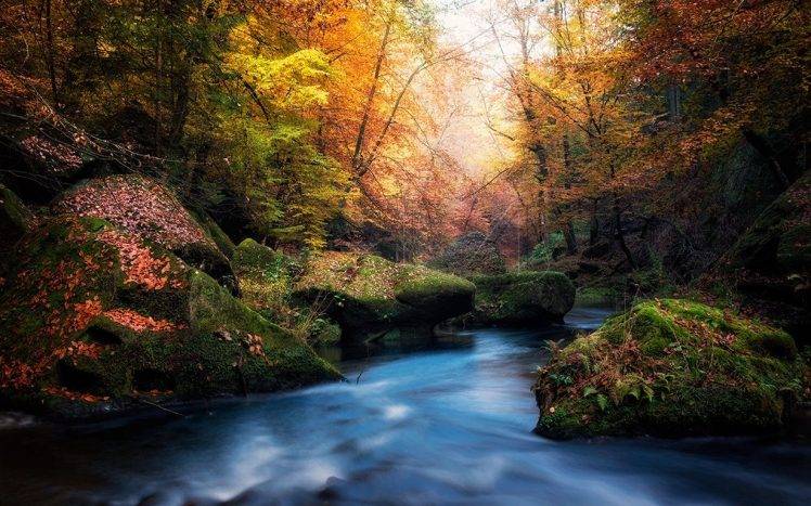 nature, Fall, River, Moss, Forest, Leaves, Colorful, Czech Republic, Trees, Sunset, Sunlight, Landscape, Blue, Water HD Wallpaper Desktop Background