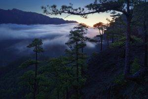 landscape, Nature, Pine Trees, Mountain, Clouds, Sunset, Forest, Canary Islands, Spain, Mist