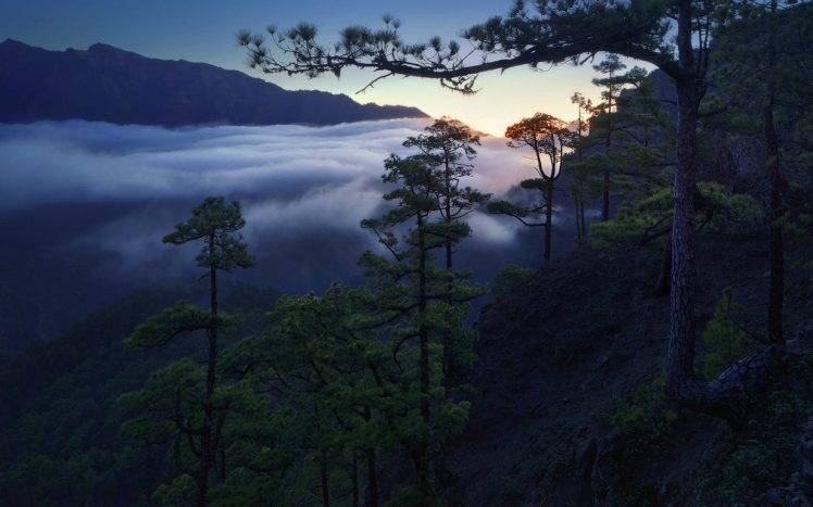 landscape, Nature, Pine Trees, Mountain, Clouds, Sunset, Forest, Canary Islands, Spain, Mist HD Wallpaper Desktop Background