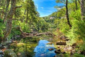 nature, Landscape, River, Forest, Mountain, Water, Reflection, Chile, Trees, Shrubs, Summer