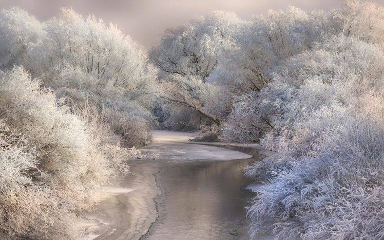 nature, Landscape, River, Forest, Snow, Winter, Frost, White, Daylight, Cold HD Wallpaper Desktop Background