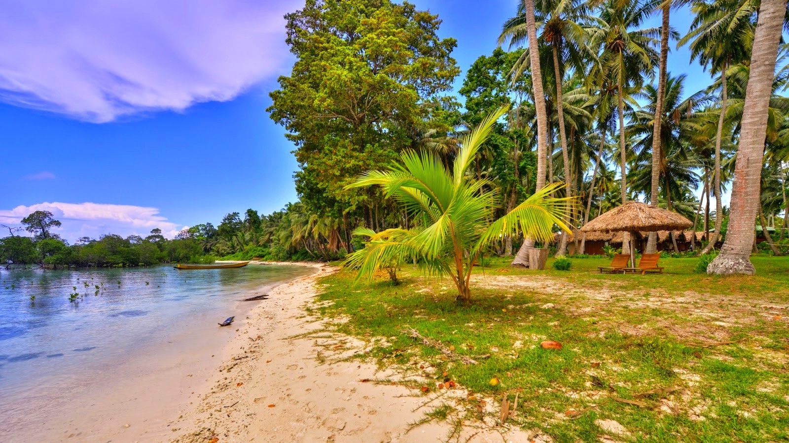 nature, Landscape, Beach, Palm Trees, Grass, Tropical, Boat, Sunshade, Chair, Sand, Sea Wallpaper
