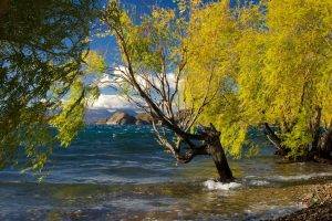 nature, Landscape, Lake, Trees, Mountain, Chile, Wind, Beach, Clouds