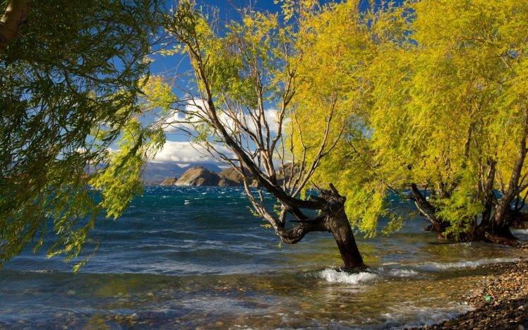 nature, Landscape, Lake, Trees, Mountain, Chile, Wind, Beach, Clouds HD Wallpaper Desktop Background