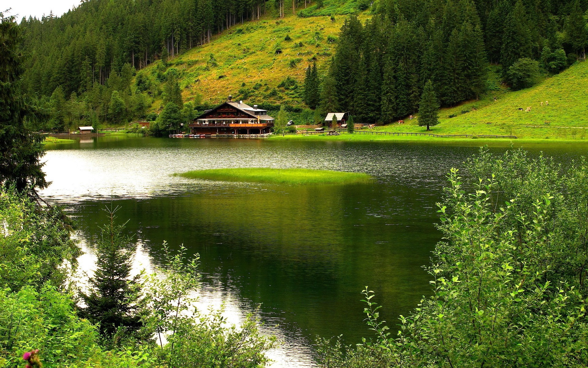 landscape Wallpaper