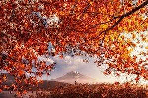 fall, Volcano, Mount Fuji, Japan, Orange, Leaves, Mountain, Mist, Lake, Shrubs, Nature, Landscape, Sunlight