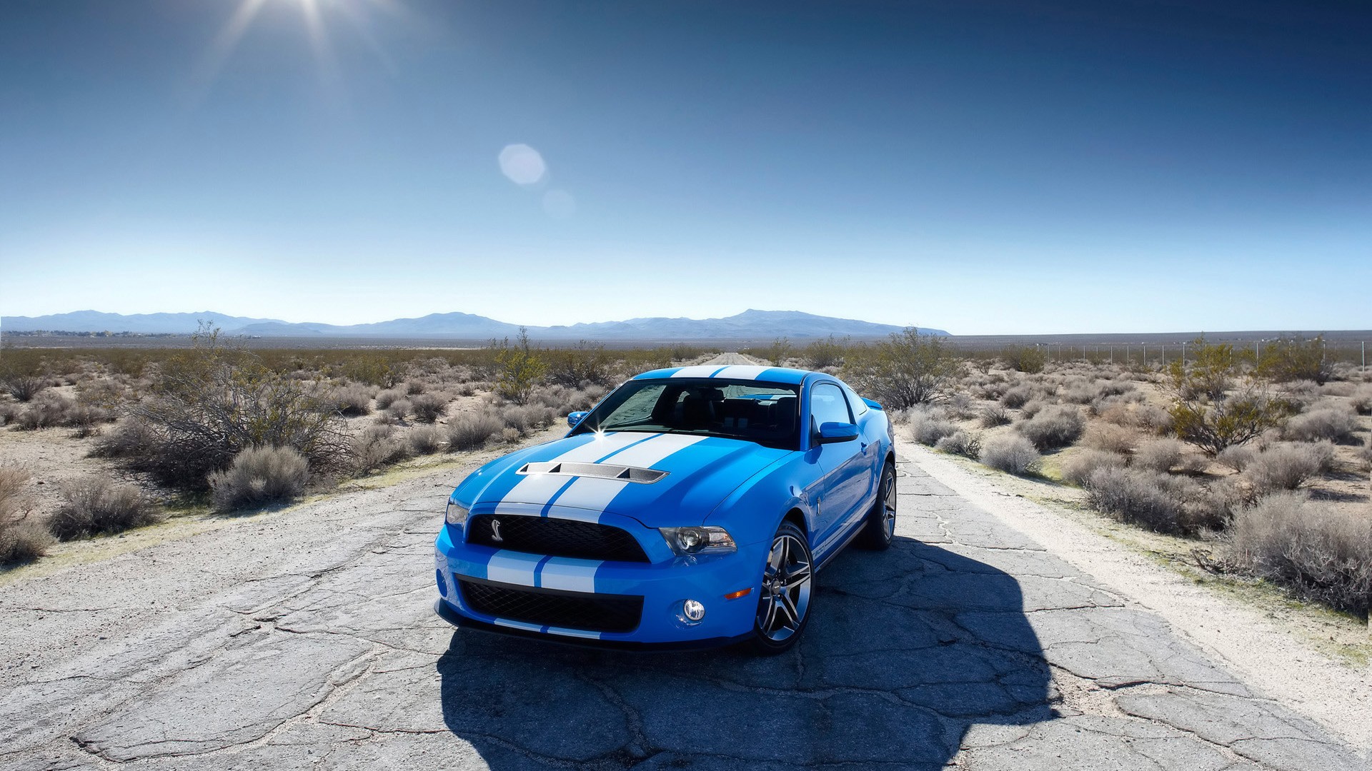 car, Ford Mustang Shelby Wallpaper