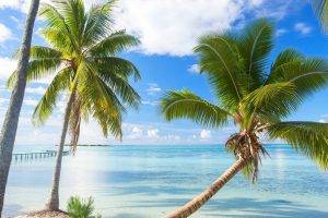 nature, Landscape, French Polynesia, Summer, Beach, Dock, Palm Trees, Sea, Tropical, Bora Bora, Clouds, Daylight