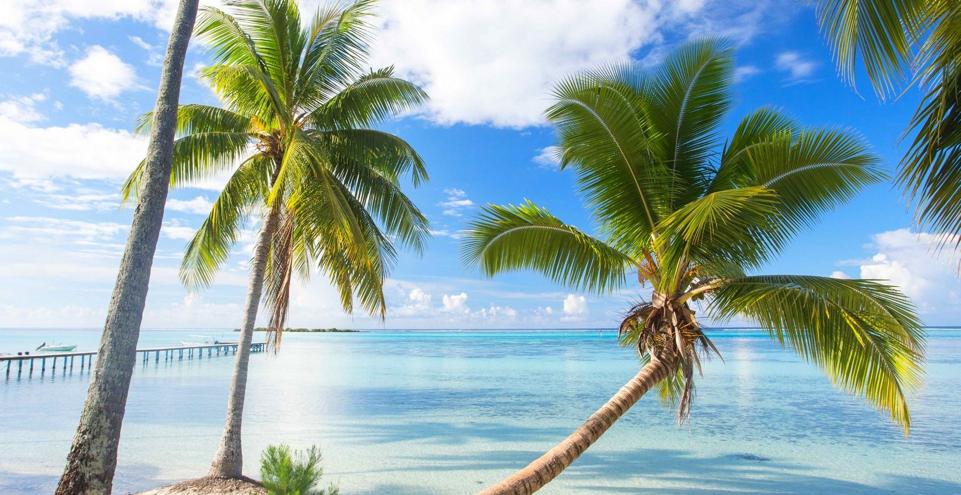 nature, Landscape, French Polynesia, Summer, Beach, Dock, Palm Trees