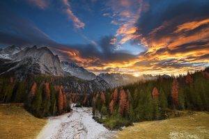 nature, Landscape, Fall, Forest, Sunset, Mountain, Colorful, Sky, Clouds, Dry Grass, Pine Trees