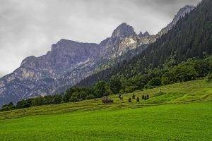 landscape, Nature, Mountain, Forest, Alps, Clouds, Grass, Tyrol, Austria, Vehicle, Summer, Green