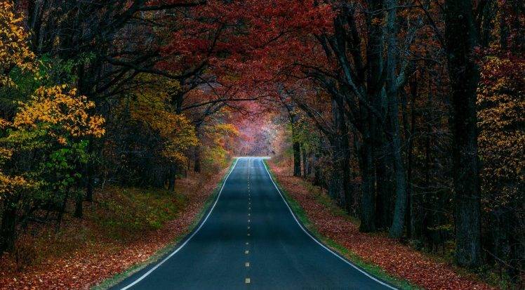 road, Nature