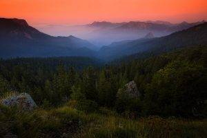 nature, Landscape, Forest, Mist, Mountain, Sunrise, Grass, Shrubs, Sky, Amber, Bosnia