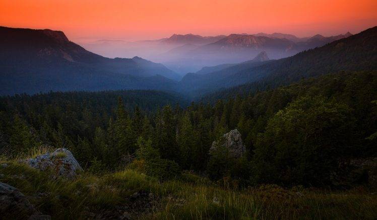 nature, Landscape, Forest, Mist, Mountain, Sunrise, Grass, Shrubs, Sky, Amber, Bosnia HD Wallpaper Desktop Background