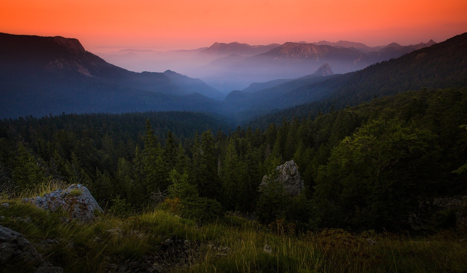 nature, Landscape, Forest, Mist, Mountain, Sunrise, Grass, Shrubs, Sky, Amber, Bosnia Wallpaper