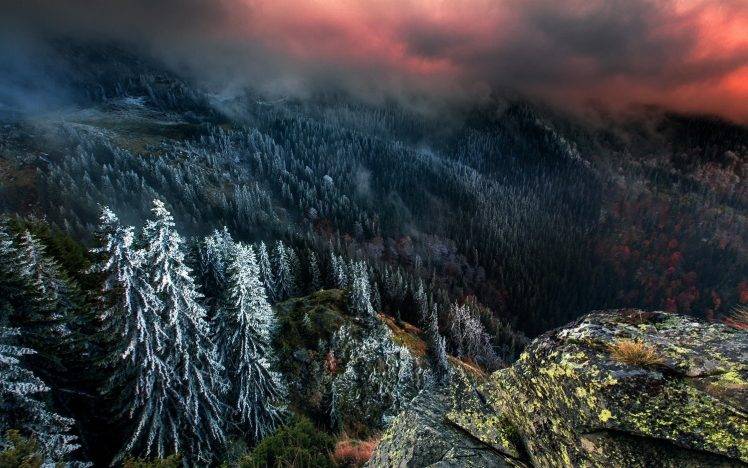 nature, Landscape, Mountain, Winter, Forest, Snow, Clouds, Sky, Pine Trees HD Wallpaper Desktop Background