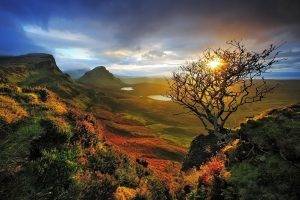 nature, Landscape, Skye, Scotland, Sunrise, Dead Trees, Shrubs, Valley, Mountain, Lake, Sky, Clouds, Sunlight