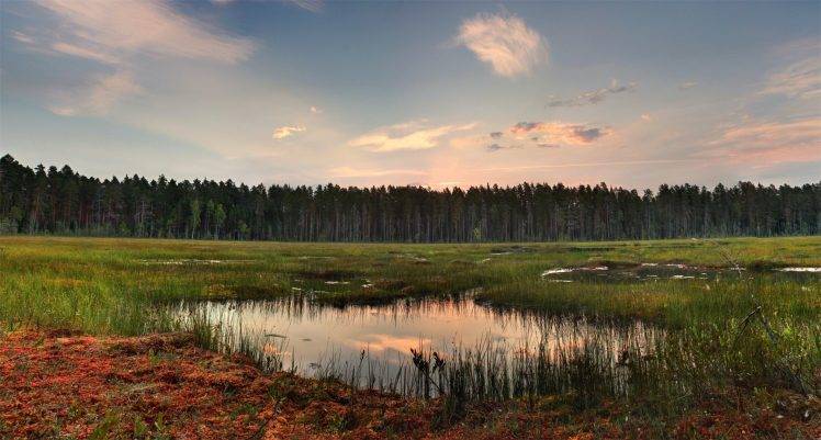 landscape, Pine Trees, Lake HD Wallpaper Desktop Background