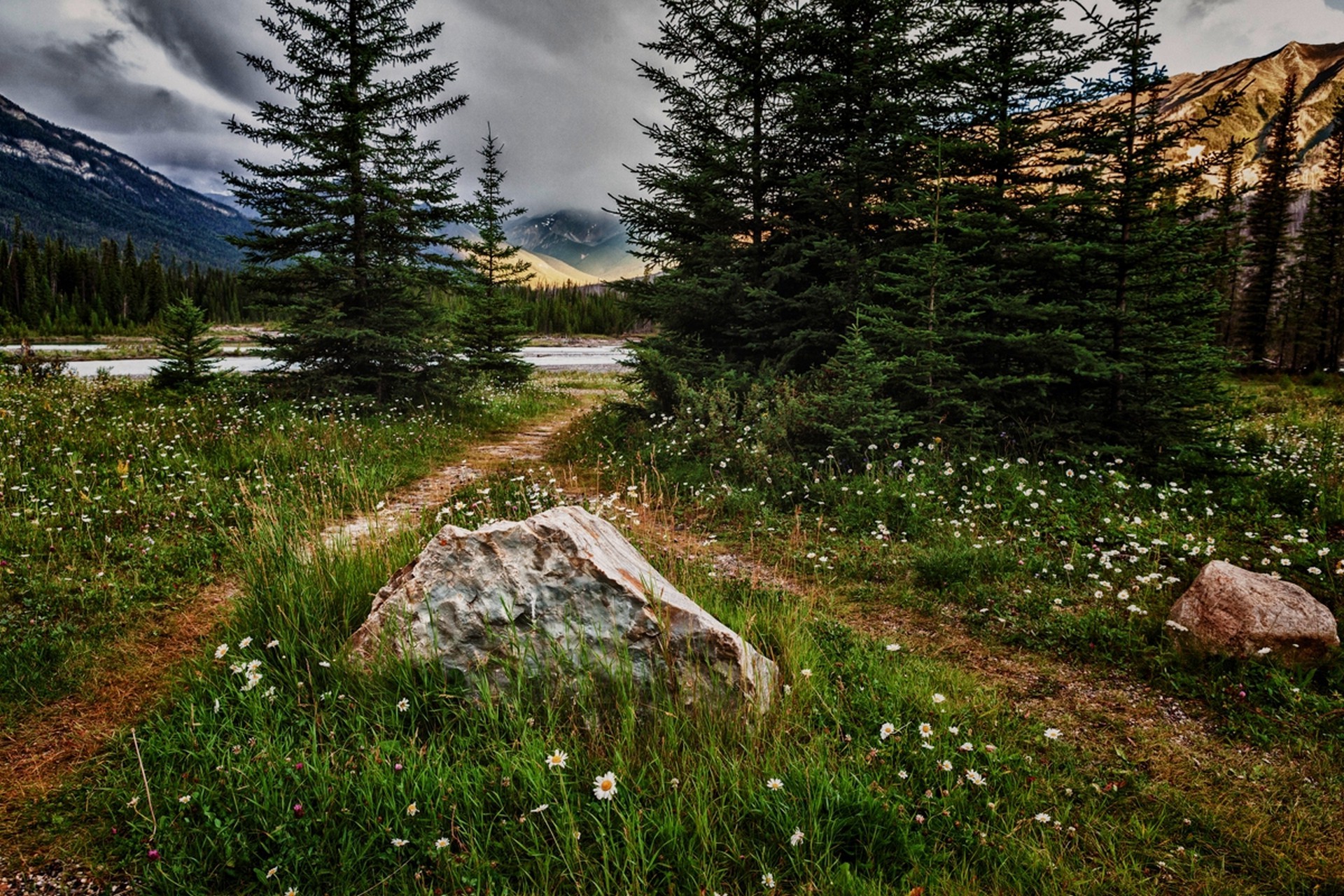 landscape, Lake, Pine Trees, Path, Forest Wallpaper