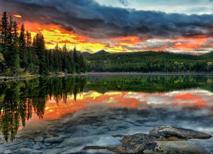 landscape, Lake, Pine Trees, Clouds HD Wallpaper Desktop Background
