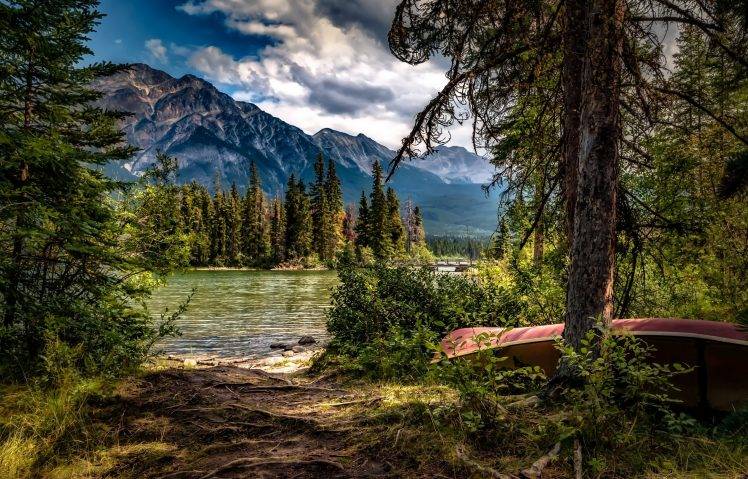 landscape, Lake, Pine Trees, Forest, Boat HD Wallpaper Desktop Background