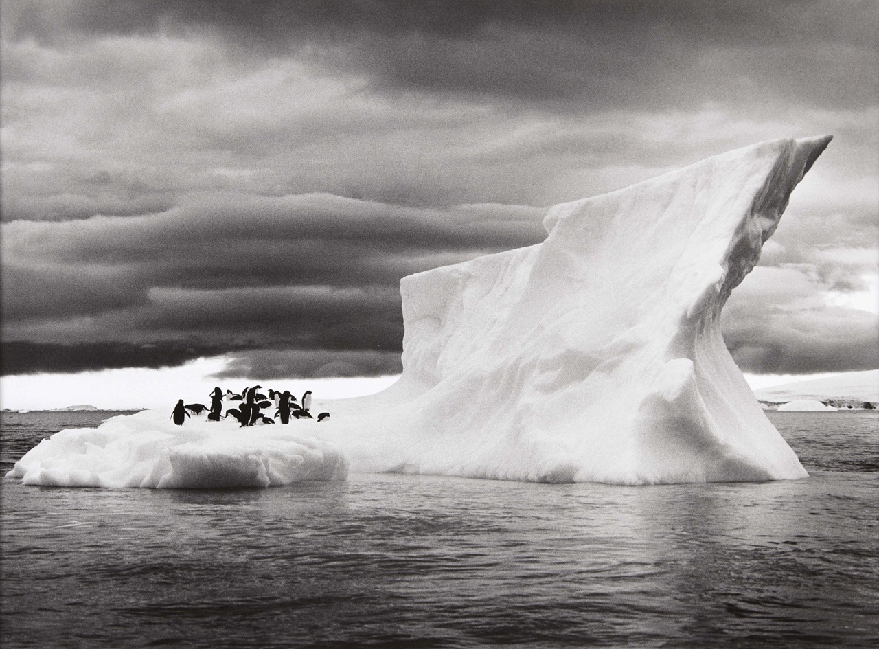 nature, Landscape, Animals, Ice, Penguins, Iceberg, Monochrome, Sebastiao Salgado, Antarctica, Sea, Clouds, Photography Wallpaper