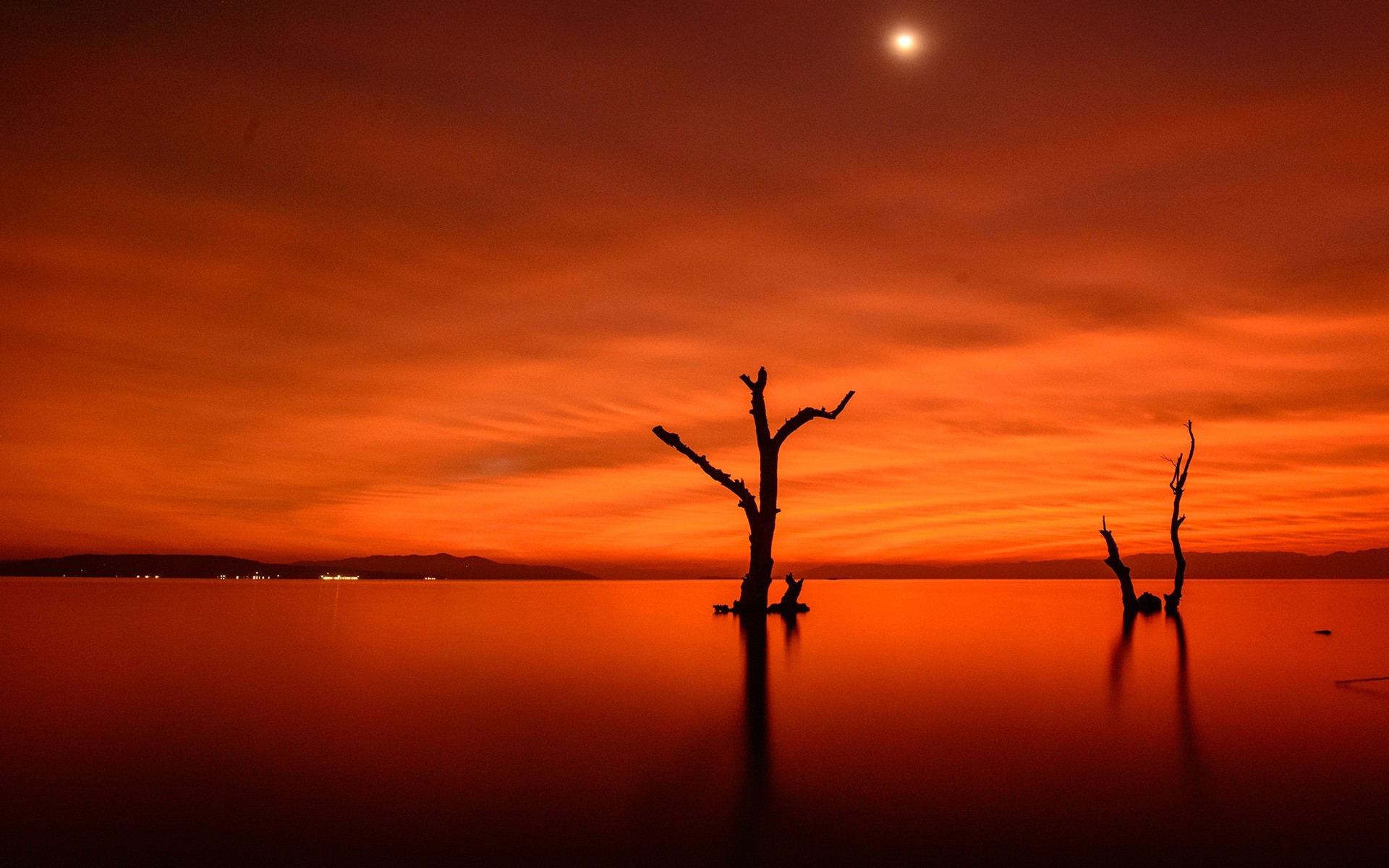 nature, Landscape, Minimalism, Trees, Simple, Branch, Water, Clouds, Horizon, Hill, Sun, Reflection, Lights, Orange Wallpaper