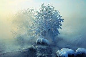 winter, Landscape, Ice, Snow, Nature