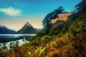 nature, Landscape, Morning, Sunrise, Mountain, Fjord, Snowy Peak, Milford Sound, New Zealand, Trees, Shrubs