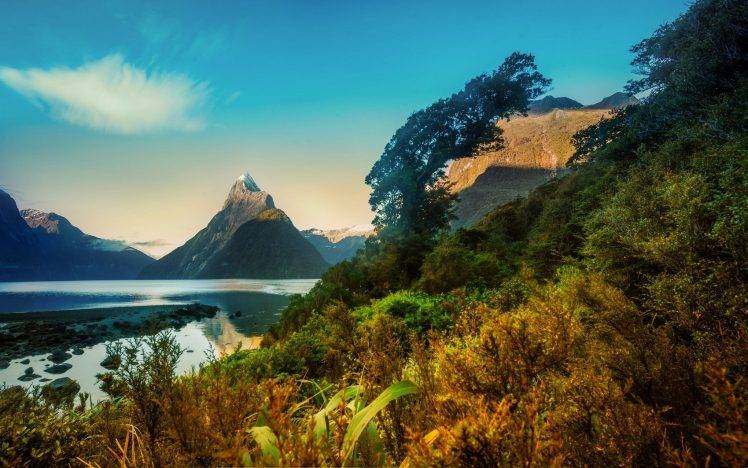 nature, Landscape, Morning, Sunrise, Mountain, Fjord, Snowy Peak, Milford Sound, New Zealand, Trees, Shrubs HD Wallpaper Desktop Background