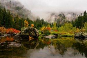 nature, Landscape, Fall, Lake, Mist, Forest, Mountain, Pine Trees, Water, Reflection, Red, Yellow, Green, Leaves
