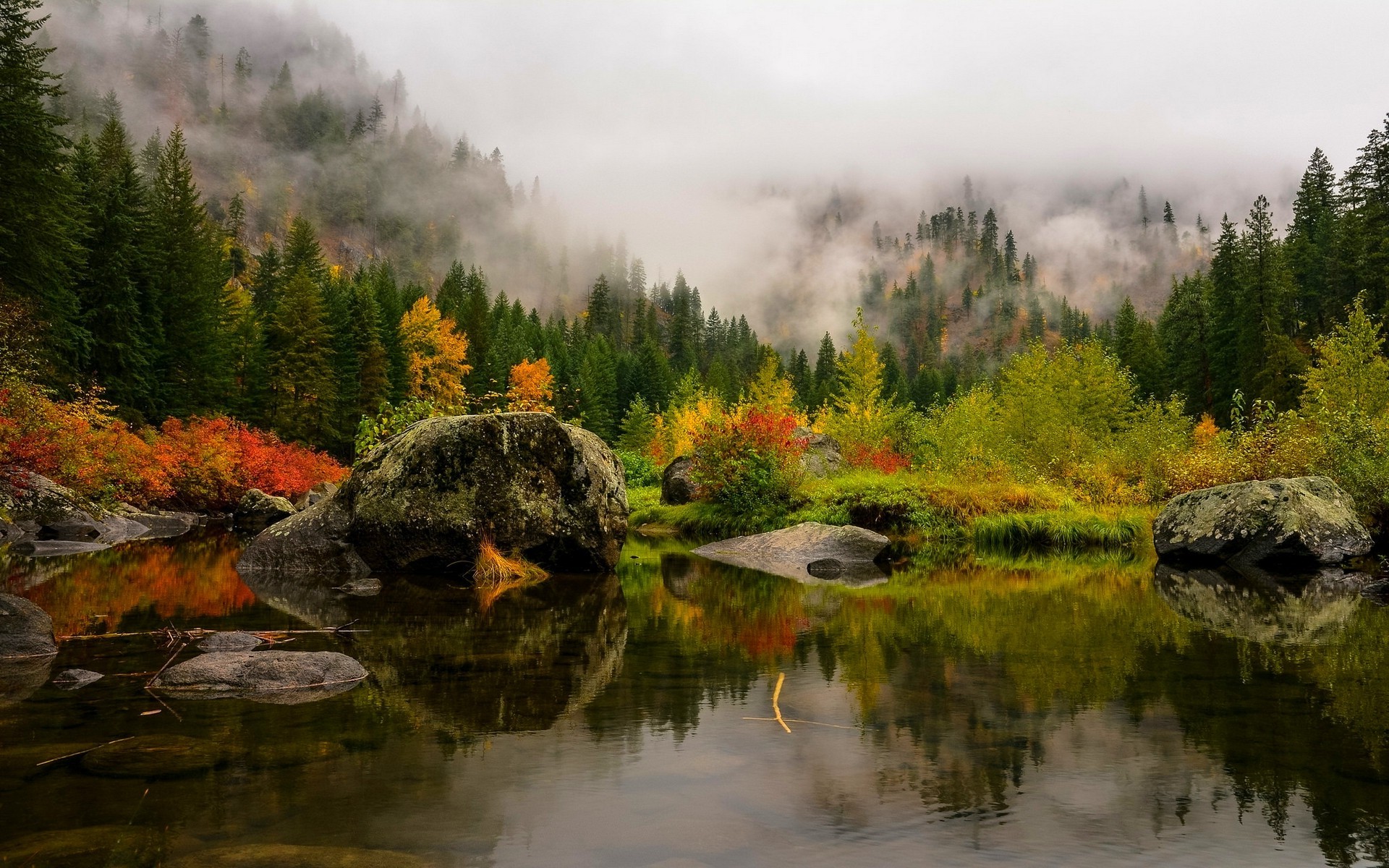 nature, Landscape, Fall, Lake, Mist, Forest, Mountain, Pine Trees, Water, Reflection, Red, Yellow, Green, Leaves Wallpaper