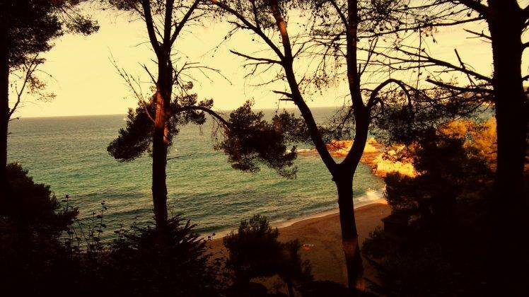 landscape, Sea, Beach, Trees HD Wallpaper Desktop Background