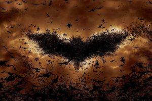 Batman, Bats, Movies, Batman Logo