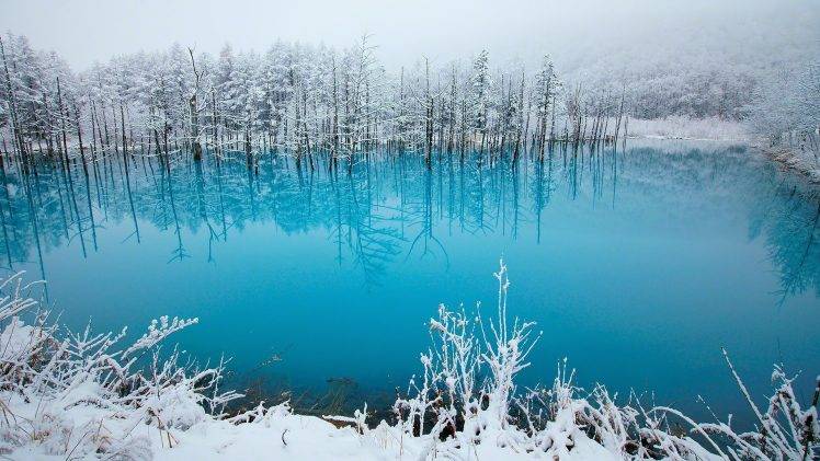lake, Winter, Snow, Ice, Landscape, Nature HD Wallpaper Desktop Background