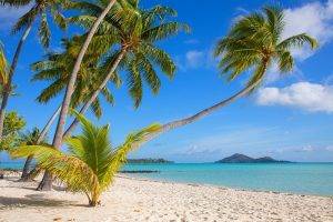 nature, Landscape, Tropical, Bora Bora, Beach, Island, White, Sand, Sea, Palm Trees, Summer, French Polynesia