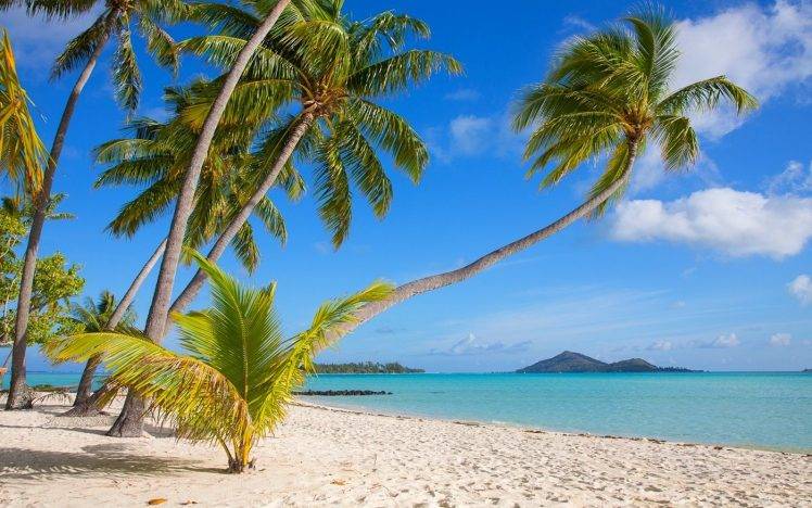 nature, Landscape, Tropical, Bora Bora, Beach, Island, White, Sand, Sea, Palm Trees, Summer, French Polynesia HD Wallpaper Desktop Background