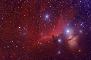 Horsehead Nebula, Nebula, Space, Stars