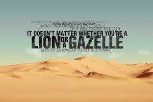 quote, Desert, Lion