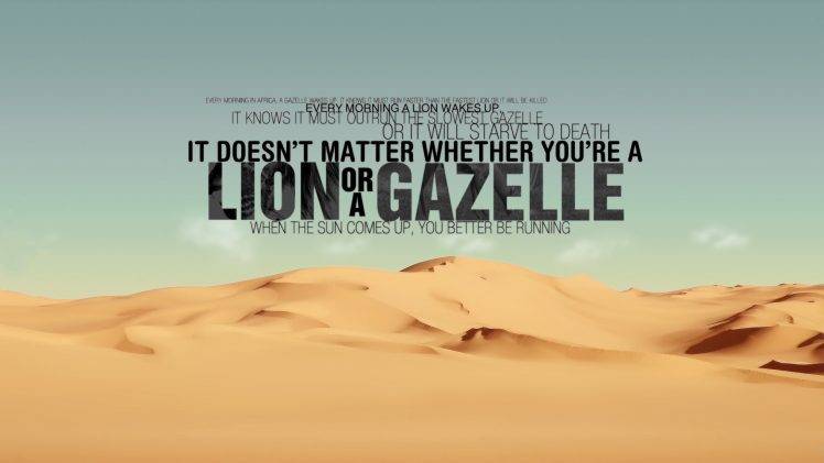 quote, Desert, Lion HD Wallpaper Desktop Background
