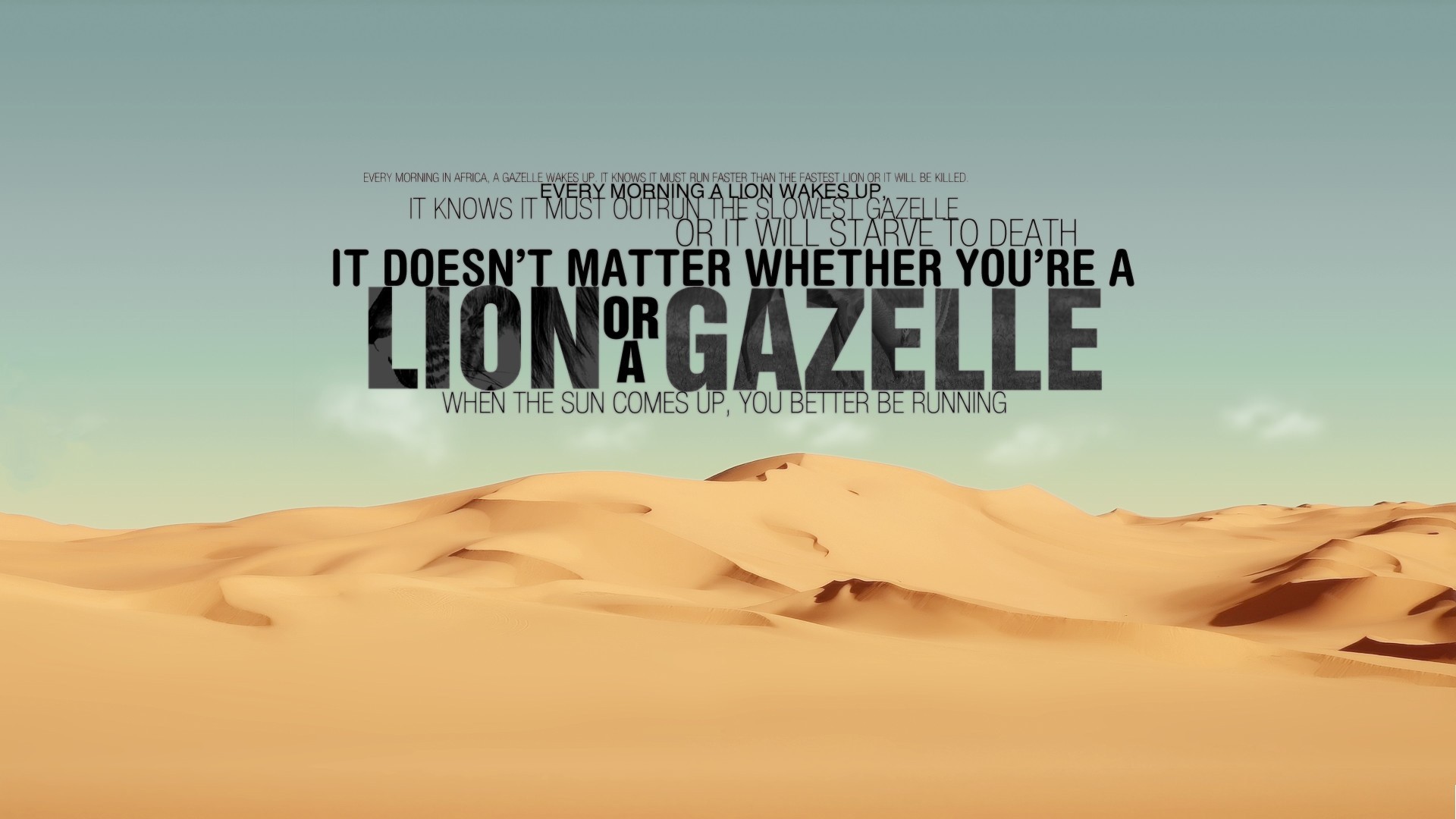 quote, Desert, Lion Wallpaper