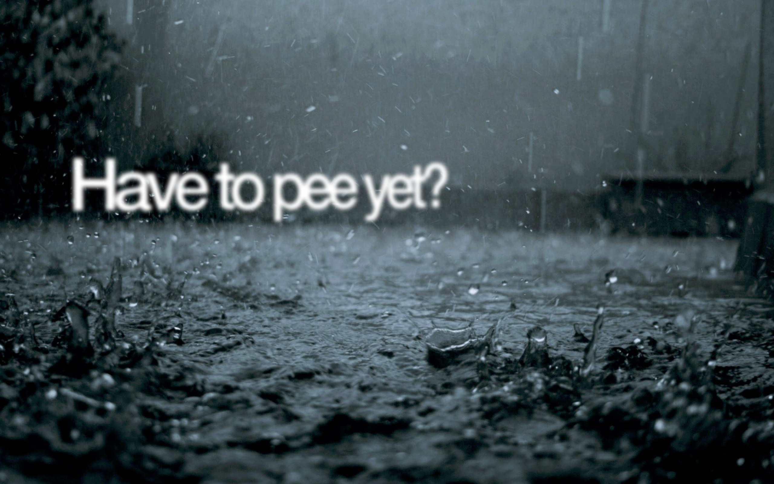 im 12 And Think This Is Funny, Rain, Quote Wallpaper