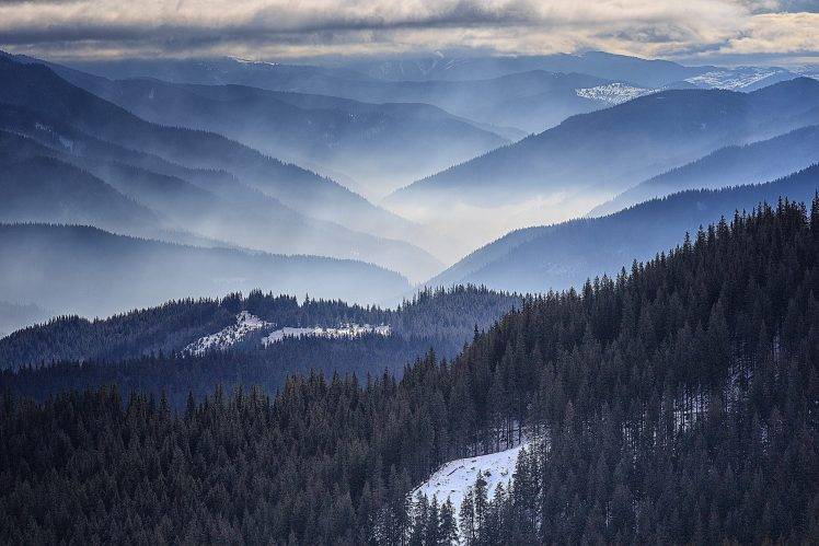 nature, Landscape, Morning, Mist, Romania, Mountain, Forest, Snow, Pine Trees HD Wallpaper Desktop Background