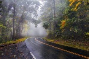 mist, Road, Landscape