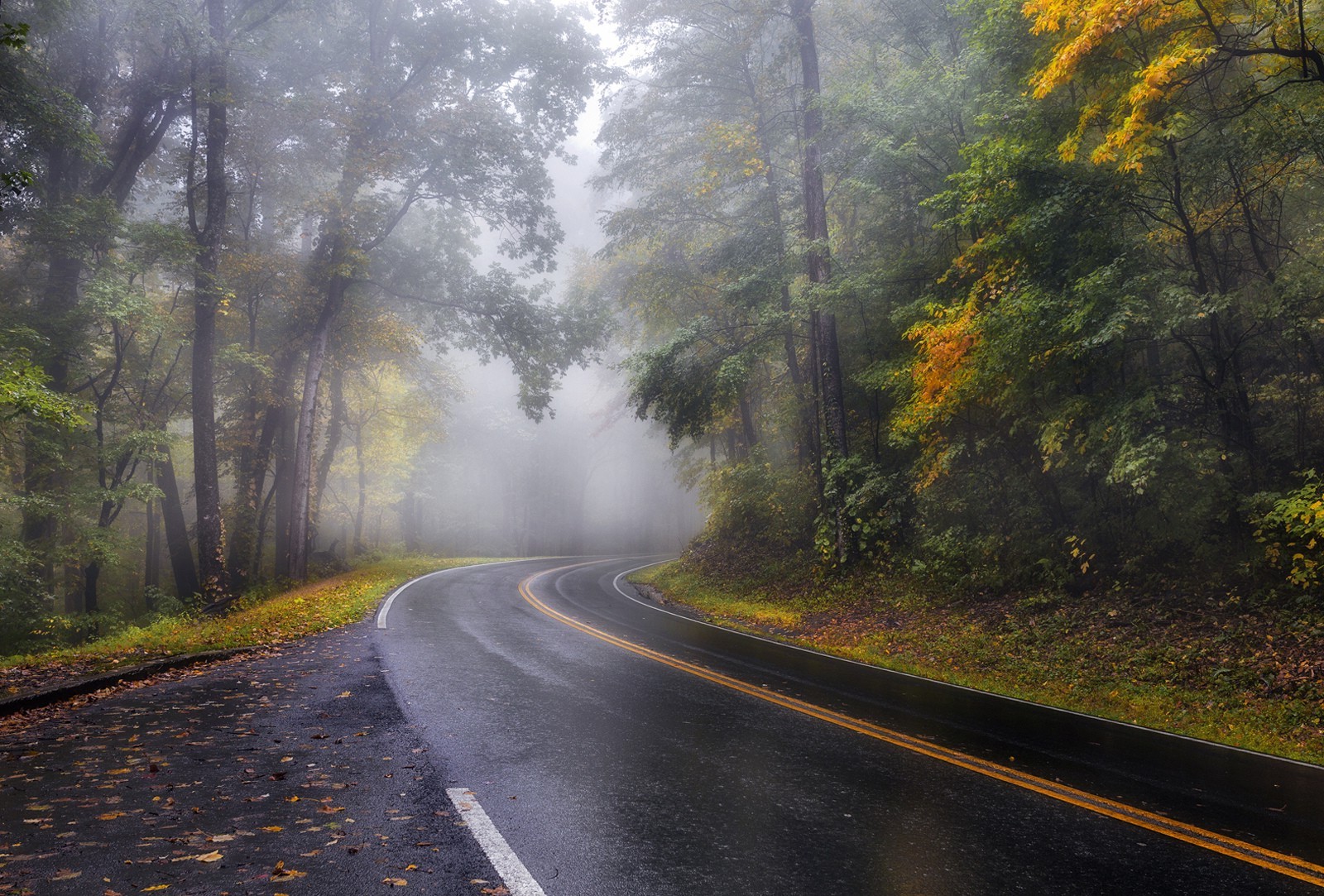 mist, Road, Landscape Wallpaper