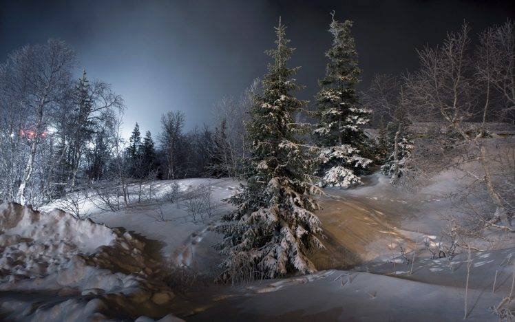 night, Landscape, Trees, Snow, Ice, Winter HD Wallpaper Desktop Background